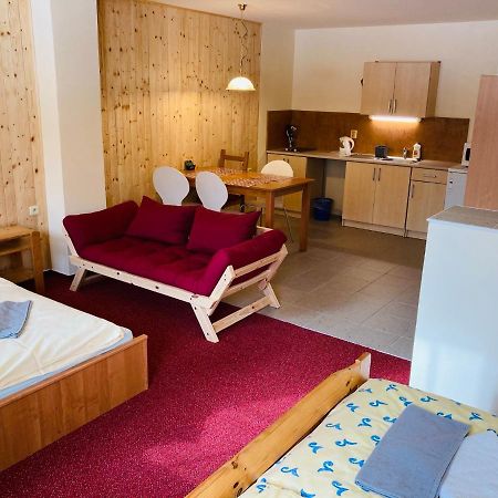 Studia Pod Lysou Apartment Rokytnice nad Jizerou Ngoại thất bức ảnh