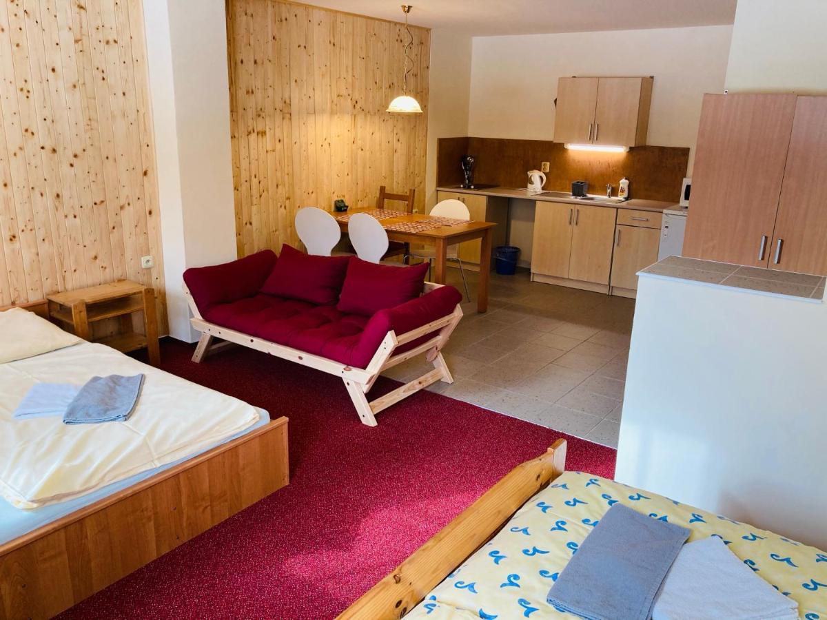 Studia Pod Lysou Apartment Rokytnice nad Jizerou Ngoại thất bức ảnh