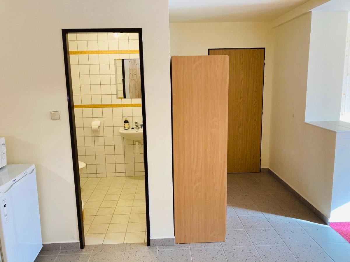 Studia Pod Lysou Apartment Rokytnice nad Jizerou Ngoại thất bức ảnh