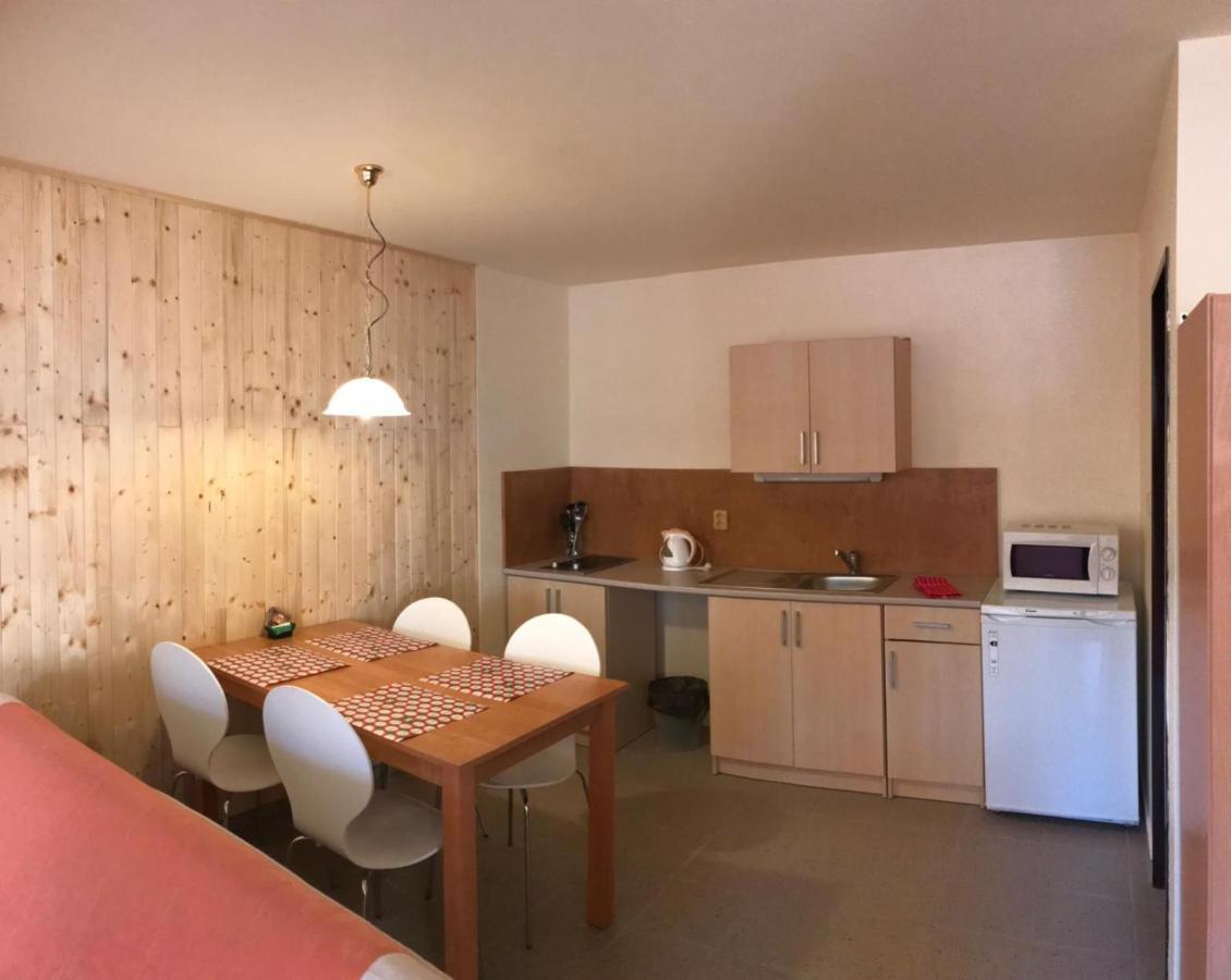 Studia Pod Lysou Apartment Rokytnice nad Jizerou Ngoại thất bức ảnh