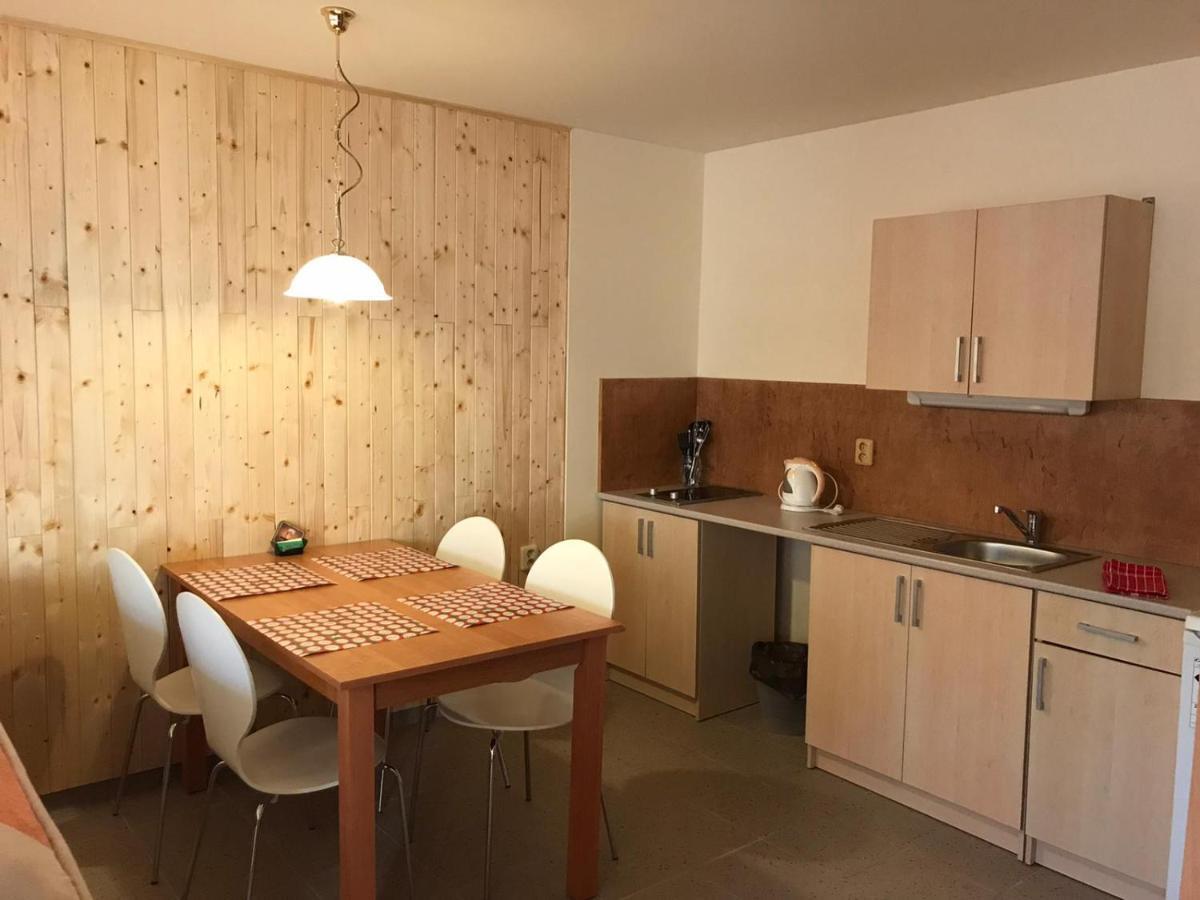 Studia Pod Lysou Apartment Rokytnice nad Jizerou Ngoại thất bức ảnh