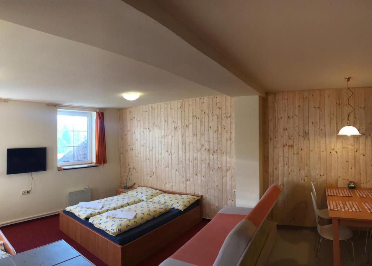 Studia Pod Lysou Apartment Rokytnice nad Jizerou Ngoại thất bức ảnh