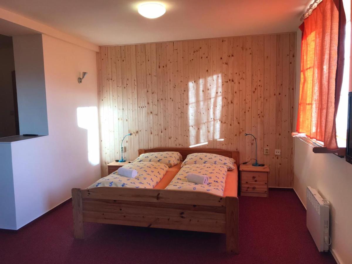 Studia Pod Lysou Apartment Rokytnice nad Jizerou Ngoại thất bức ảnh