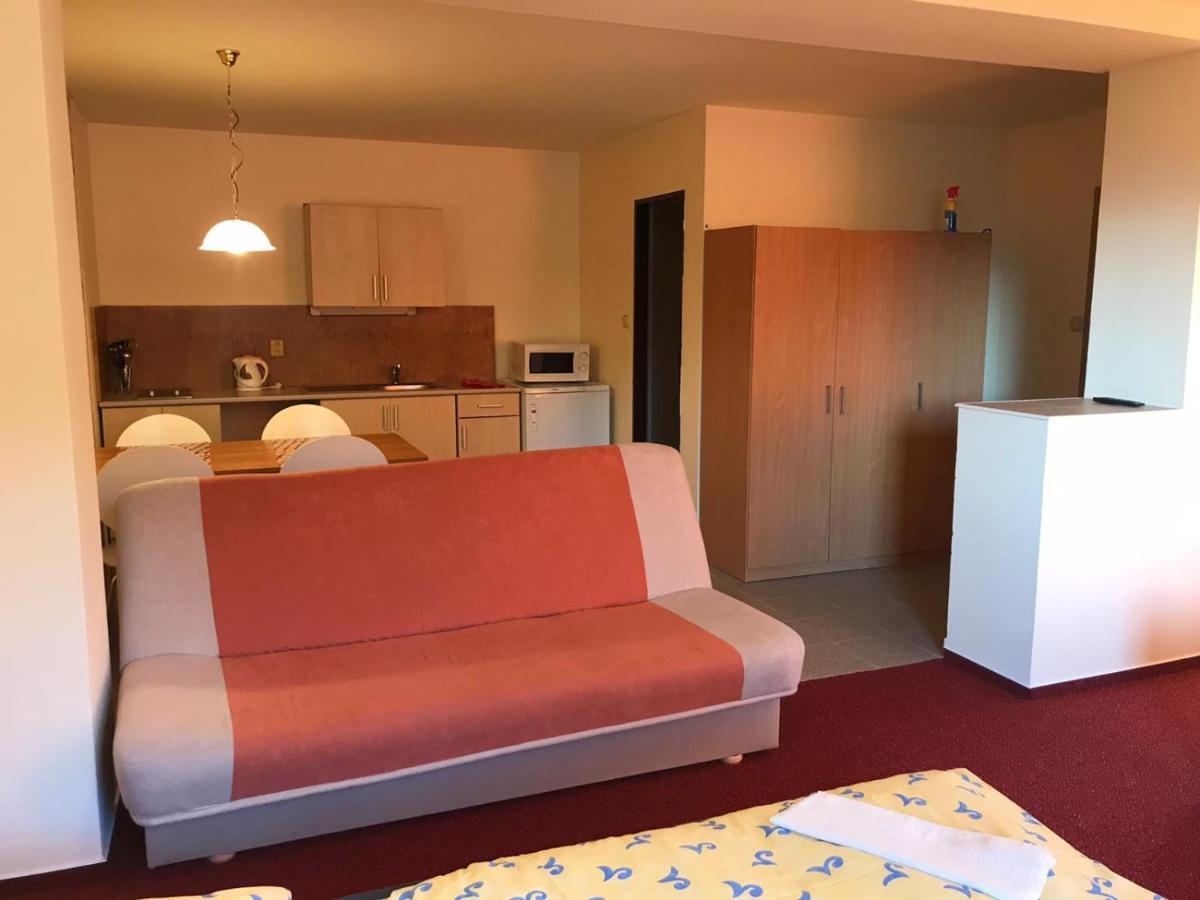 Studia Pod Lysou Apartment Rokytnice nad Jizerou Ngoại thất bức ảnh