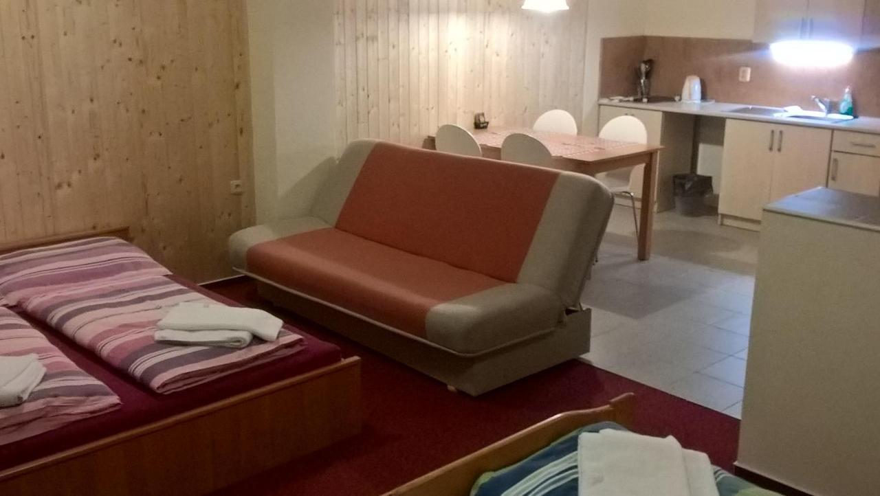 Studia Pod Lysou Apartment Rokytnice nad Jizerou Ngoại thất bức ảnh