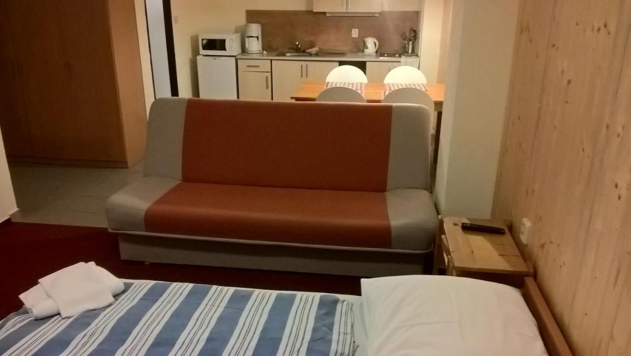 Studia Pod Lysou Apartment Rokytnice nad Jizerou Ngoại thất bức ảnh