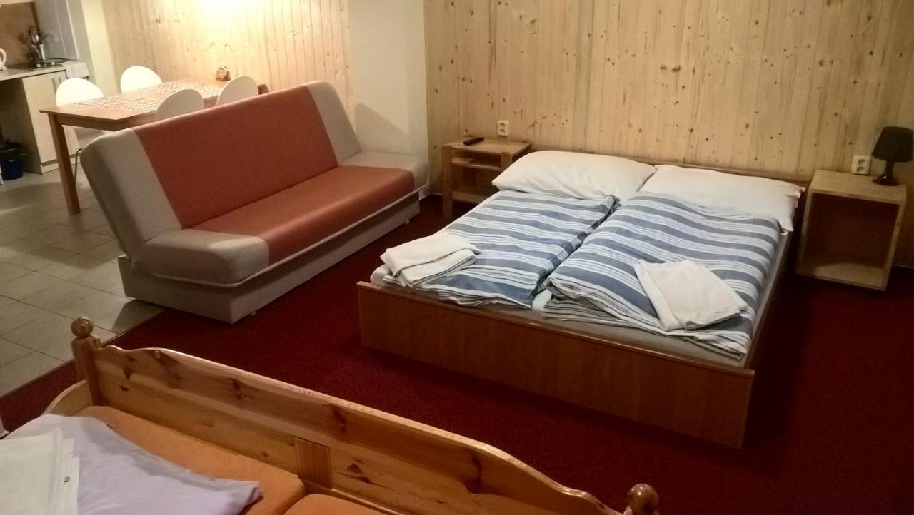 Studia Pod Lysou Apartment Rokytnice nad Jizerou Ngoại thất bức ảnh
